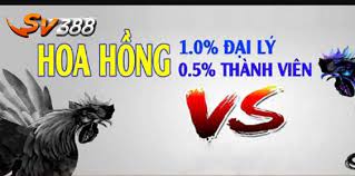 Đại lý Sv388 là ai?